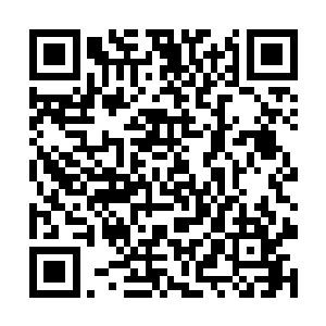 一群自称是西方教的应劫期修士突然出现在了临夜国二维码生成