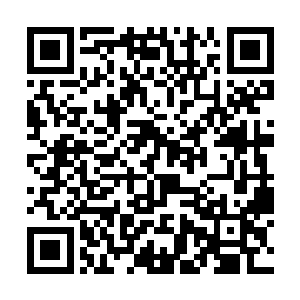 一群连自己的部落都保护不住的废物还不老老实实的二维码生成