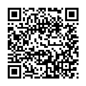 一翅膀把人扇跌进窝里――没有翅膀掉出去会摔得稀巴烂二维码生成