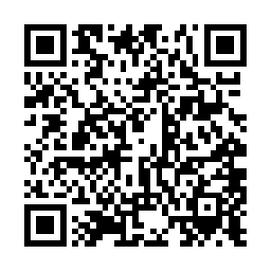 一老先生觉得我千里迢迢而来肯定不愿意空手离开二维码生成