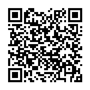 一者似大浪滔滔……哈珀和院长竟斗了个不分轩轾二维码生成