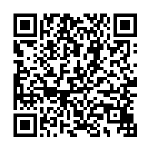 一股充满了审判和毁灭的气息也是从天罚之眼里面散发出来二维码生成