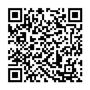 一股充满了恐怖的煞气也是从老者的身上狂涌而出二维码生成