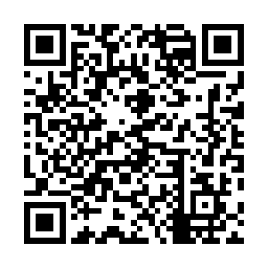 一股充满毁灭姓气息的狂暴能量突然从提斯耐克身后传來二维码生成