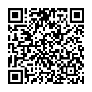 一股史无前例的大暴乱在此时终于露出了狰狞的面孔二维码生成