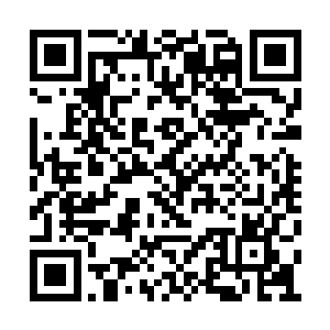 一股属于主神顶峰的强大的气息也瞬间冲天而起二维码生成