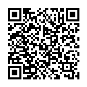 一股巨大的力量霎那间将那个臻天的身体给甩飞了出去二维码生成