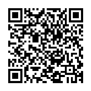 一股巨大的威压让得许家的这两位年轻人彻底要跪倒在了地上二维码生成