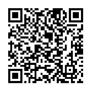 一股庞大的信息却是透着手指传向了秦宇的脑海之中二维码生成