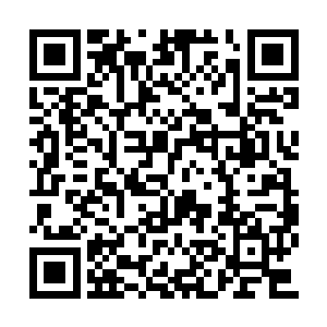 一股庞大的气息自然而然的从剑尘身上弥漫而出二维码生成
