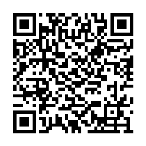 一股强大的反震之力从雾气当中馈到风清扬身上二维码生成