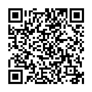 一股强大的爆炸力直接在铜牌护法的身体上炸开二维码生成