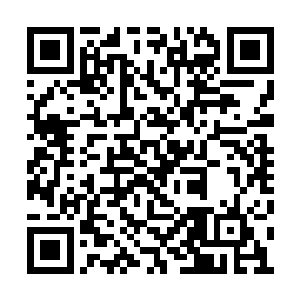 一股强烈的能量波动从剑尘的身体周围散发而出二维码生成