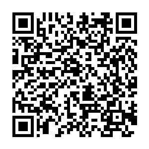 一股怨恨到了极点的意念也从虎魄刀的刀柄中传到了楚旬的脑海之中二维码生成