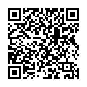 一股恐怖的凌厉的杀意也瞬间直接从龙傲天的身上散发出来二维码生成