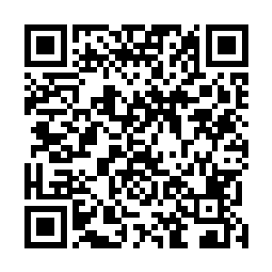 一股恐怖的凌厉的气势也瞬间从金玄战傀的身上散发出来二维码生成