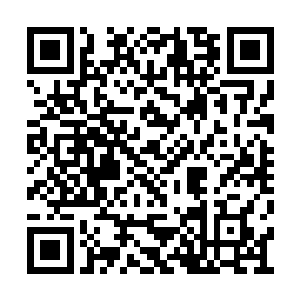 一股恐怖的凌厉的气息也直接从他的身上散出来二维码生成