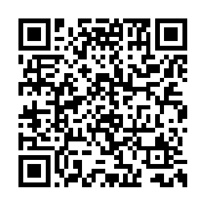 一股恐怖的凶悍的气息也从对方的身上散发出来二维码生成