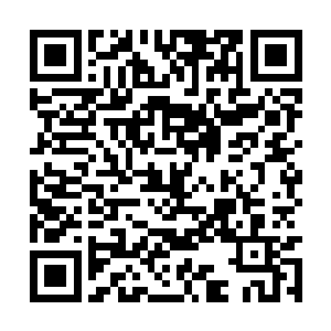 一股恐怖的凶悍的气息也是从袁鸿的身上散发出来二维码生成