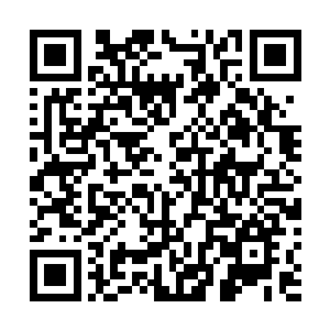 一股恐怖的压抑的气息也瞬间直接从黑莲的身上散发出来二维码生成