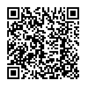 一股恐怖的厚重的澎湃的压抑的气息瞬间也笼罩到了龙傲天的身上二维码生成
