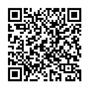 一股恐怖的吞噬之力也瞬间直接从圣邪战傀的身上散发出来二维码生成