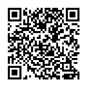 一股恐怖的暴虐的气息也直接从龙傲天的分身上面散发出来二维码生成