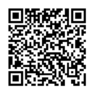 一股恐怖的杀虐之气犹如洪潮一般朝着文聘铺盖而来二维码生成