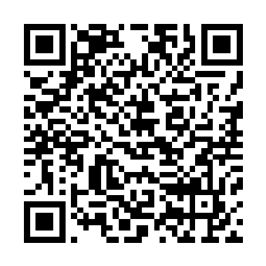 一股恐怖的气势如同飓风一般在它庞大的身躯之上席卷而出二维码生成