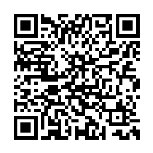 一股恐怖的气息顿时也从龙傲天的身上散发出来二维码生成
