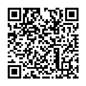 一股恐怖的浩瀚的气息也从龙傲天的身上散发出来二维码生成