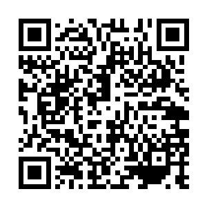 一股恐怖的浩瀚的气息也直接从它的身上散发出来二维码生成