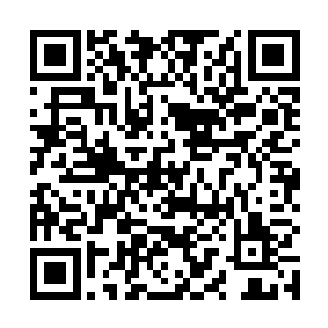 一股恐怖的爆炸的气息瞬间从天星老人的身上散发出来二维码生成