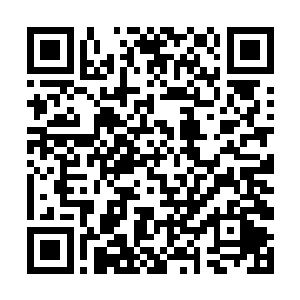 一股恐怖的狂暴的天地元气也朝着四面八方狂涌而出二维码生成