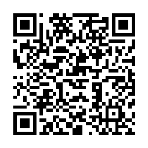 一股恐怖的狂暴的能量风暴也疯狂的朝着四面八方席卷而出二维码生成