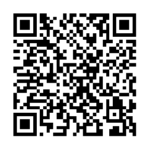 一股恐怖的神识攻击也是瞬间仿佛风暴一般卷过了整个血魔宗二维码生成