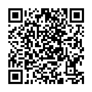 一股恐怖的能量风暴以杨戬为中心朝着四面八方狂涌而去二维码生成