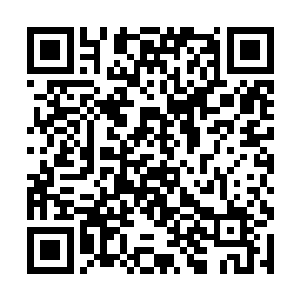 一股恐怖的蛮荒的气息也从这恐怖的巨人的身上传来二维码生成