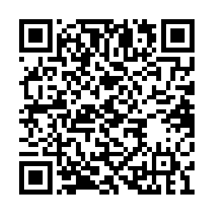 一股恐怖的霸气也是从逍遥天尊的身上散发出来二维码生成