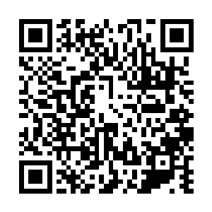 一股恐怖的黑色的巨龙也瞬间直接从龙傲天体内喷涌而出二维码生成