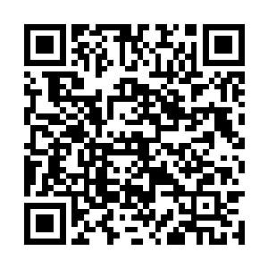 一股悲凉的感觉刹那间从抚摸之处侵蚀上她的身体二维码生成