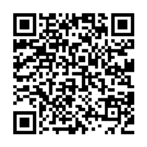 一股散发着可怕高温的烈焰火环也从楚旬所在的位置激荡而出二维码生成