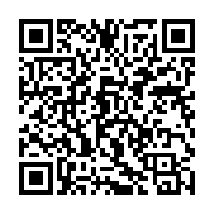 一股新鲜的泥土气味和鲜血味道就回荡在了我的鼻中二维码生成