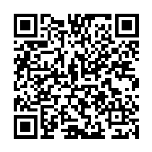 一股无比可怕的气息从聂辰与九皇身上同时爆发而出二维码生成