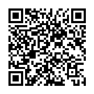 一股无比强盛的紫青两色光芒从剑尘的意识海深处绽放出來二维码生成