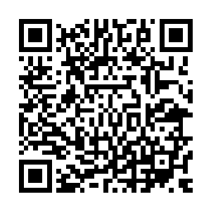 一股无比恐怖的凌厉的枪意也瞬间直接从杨戬的身上散发出来二维码生成