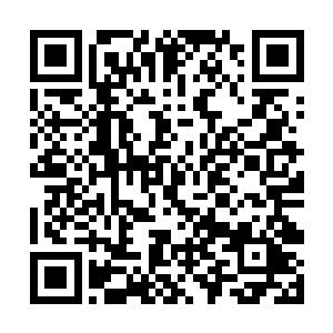 一股无比恐怖的凌厉的气息也瞬间直接锁定了灰衣人二维码生成