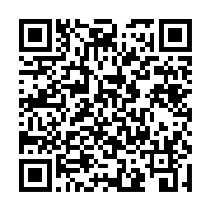一股无比恐怖的力道也随即顺着手掌涌入了手臂之中二维码生成