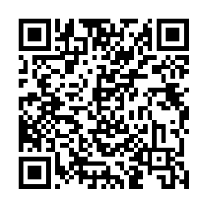 一股无比恐怖的压迫性的气息也是从袁鸿的身上散发出来二维码生成