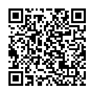 一股无比恐怖的天地威压也随即直接朝着龙傲天的身上席卷而来二维码生成